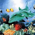 Dolphin Duo - 60 piece Ravensburger puzzle - for Ages 4+