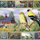 Songbirds  - 1,000 piece White Mountain puzzle - for Ages 12+