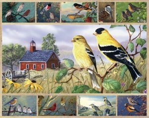 Songbirds  - 1,000 piece White Mountain puzzle - for Ages 12+