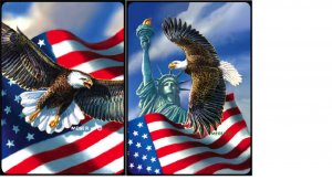 Symbols of Freedom - Double Deck Bridge Playing Cards - NEW