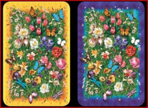 Nature's Jewels - Double Deck Bridge Playing Cards - NEW