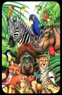 Animal Jungle - Bridge Playing Cards - NEW