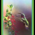 Flower Power - Bridge Playing Cards - NEW