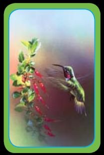 Flower Power - Bridge Playing Cards - NEW