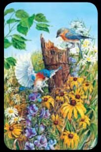 Nesting Bluebirds - Bridge Playing Cards - NEW
