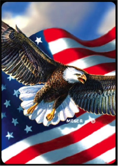 Patriotic Eagle - Bridge Playing Cards - NEW