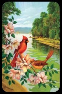 Red Birds - Bridge Playing Cards - NEW