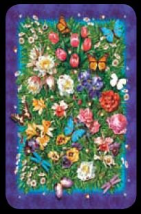 Sapphires - Bridge Playing Cards - NEW