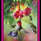Summer Hummer - Bridge Playing Cards - NEW
