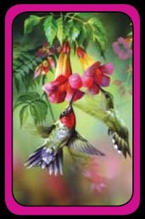 Summer Hummer - Bridge Playing Cards - NEW