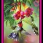 Summer Hummer - Bridge Playing Cards - NEW