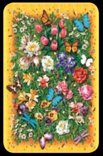 Topaz - Bridge Playing Cards - NEW