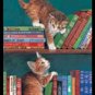 What Now? - Bridge Playing Cards - NEW