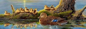 Spring Mallards - 500 piece SunsOut puzzle - for Ages 12+