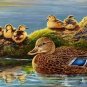 Spring Mallards - 500 piece SunsOut puzzle - for Ages 12+