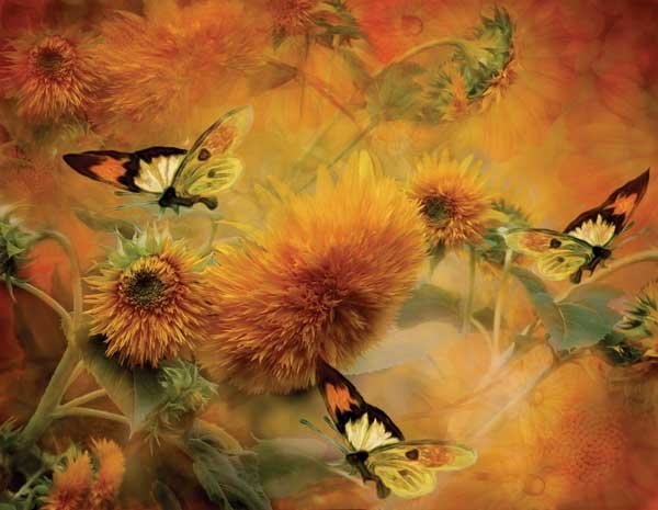 Butterflies & Sunflowers - 1,000 Large Piece SunsOut puzzle - for Ages 12+