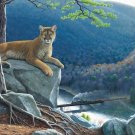 Mountain Lion Tracks - 500 piece SunsOut puzzle - for Ages 12+