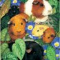 Guinea Pigs - 100 piece SunsOut puzzle - for Ages 6+