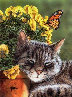 Afternoon Nap - 1,000 piece SunsOut puzzle - for Ages 12+