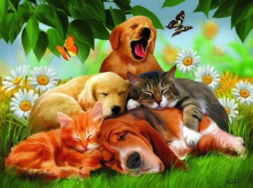 SleepyHeads - 100 piece SunsOut Mini puzzle