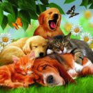 SleepyHeads - 100 piece SunsOut Mini puzzle