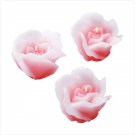Floating rose candles