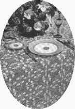 Irish Lace Tablecloth Pattern