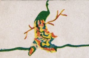Peacock Pillowcases Pattern