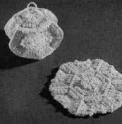 Lantern Potholder Pattern