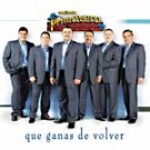 CONJUNTO PRIMAVERA-QUE GANAS DE VOLVER