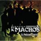 BANDA MACHOS - EL PROXIMO TONTO