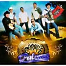 PALOMO-CORRIDOS
