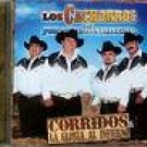 LOS CACHORROS DE JUAN VILLARREAL - CORRIDOS DE LA GLORIA AL INFIERNO