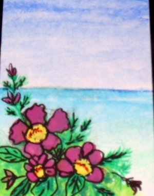 ACEO Original Art Card the size 3.5 inches by 2.5 inches of a trading card Title Seascape