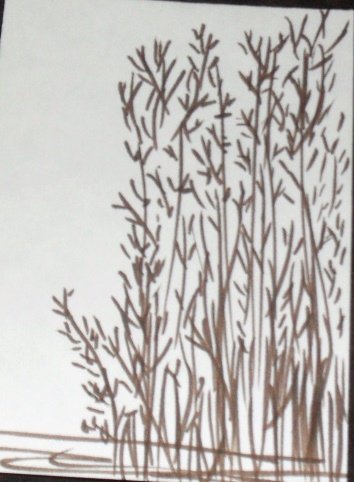 ACEO Original Art Card set of 3 size 3.5 inches by 2.5 inches. trading cards Title Sweet-grass