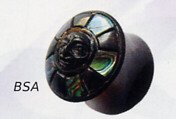Abalone Skull Plug