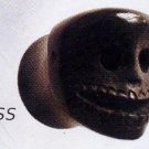 Smiling Skull Etched Tunnel