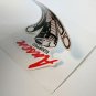 Ansen Equipped Vintage Style DECAL, Vinyl STICKER, racing, hot rod, rat rod