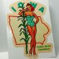 Iowa Pinup Vintage Style Travel Decal, Vinyl Sticker, Luggage Label