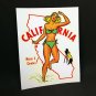 California Pinup Vintage Style Travel Decal, Vinyl Sticker, Luggage Label