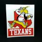 DALLAS TEXANS Vintage Style NFL Football DECAL, Vinyl STICKER, Throwback Logo