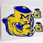 3 University of Michigan, Wolverines Vintage Style College DECALS, Vinyl STICKER