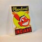Cleveland Indians Vintage Style DECAL, Vinyl STICKER