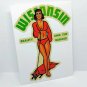 Wisconsin Pinup Vintage Style Decal, Vinyl Sticker, Luggage Label