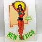 New Mexico State Pinup Vintage Style Travel Decal / Vinyl Sticker, Luggage Label