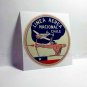 CHILE AIRLINES Vintage Style Travel Decal / Vinyl Sticker, Luggage Label