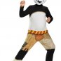 NIP Kung Fu Panda PO Deluxe Child Costume Size: Small (4-6)