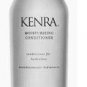 Kenra Moisturizing Shampoo 10.1oz