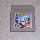 MALIBU BEACH VOLLEYBALL GAMEBOY COLOR GBA SP
