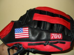 Red and Black Flag Model